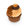 Gourmet cupcake with swirled caramel frosting, chocolate disk, and brown sugar crumble