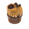 Double chocolate mocha cupcake with chocolate chips and swirled mocha frosting
