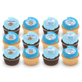 Baby boy shower cupcakes with blue frosting and themed toppers, assorted chocolate and vanilla.