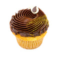 Vanilla cupcake with chocolate frosting and gold sprinkles, gourmet dessert.